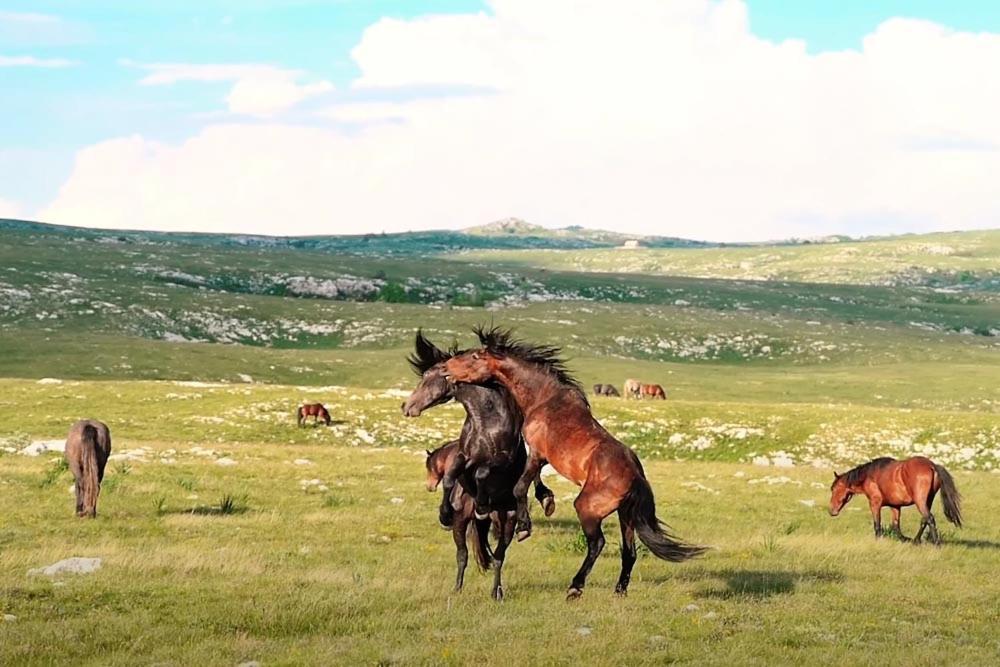 Apartmani Kaic Livno Buitenkant foto