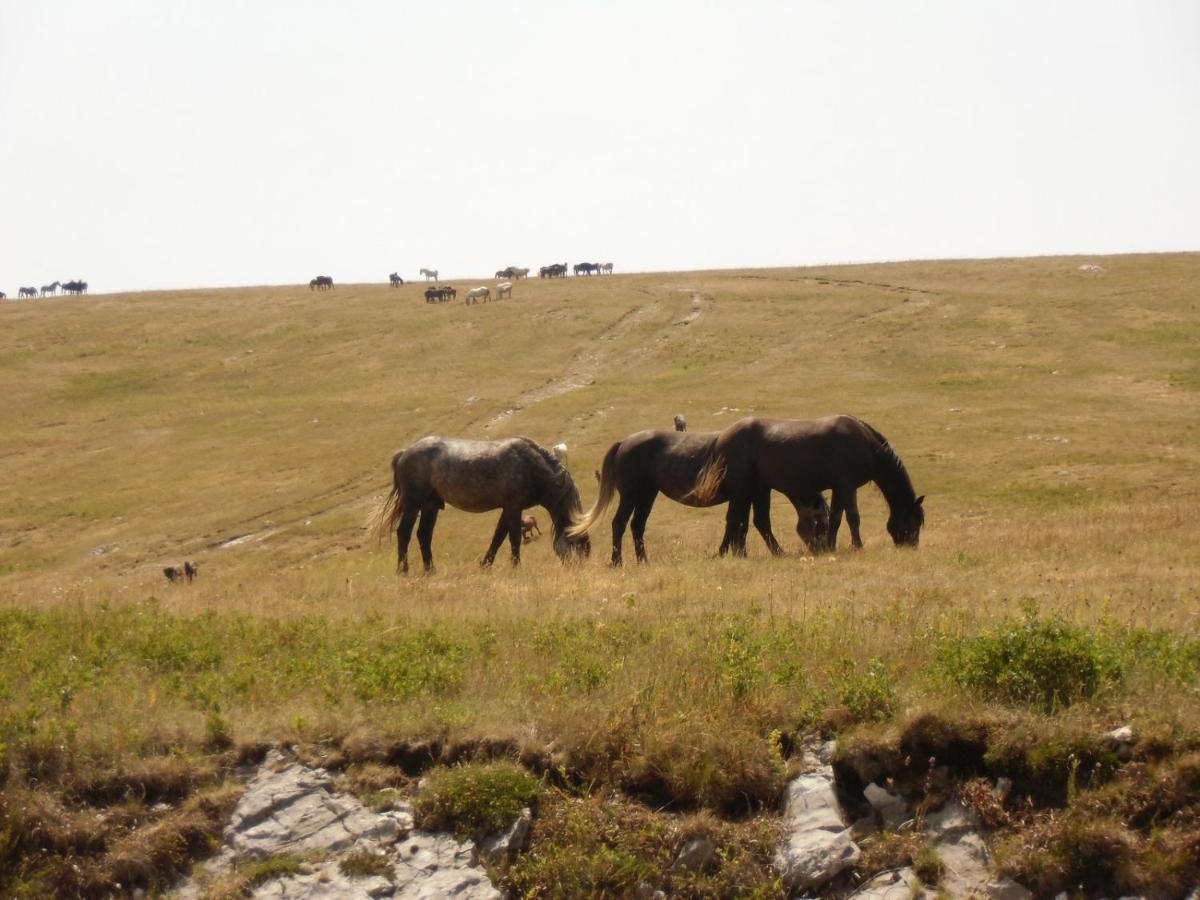 Apartmani Kaic Livno Buitenkant foto